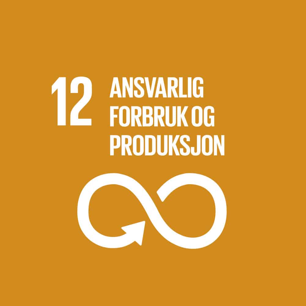 Bærekraft mål 12
